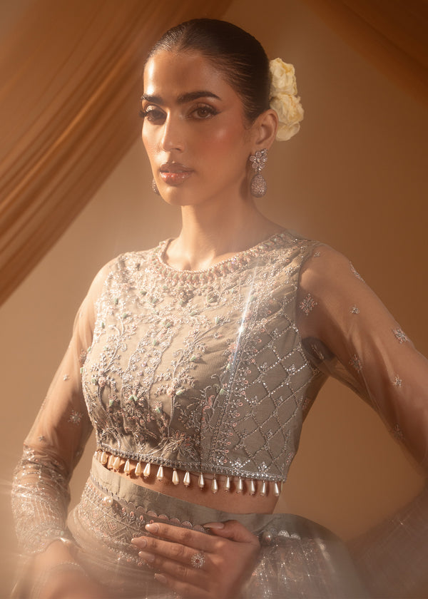 Paras by Pasha | Noor -e- Jahan Saree Collection | Abr-e-Shaam