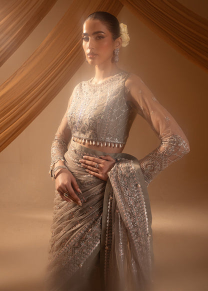Paras by Pasha | Noor -e- Jahan Saree Collection | Abr-e-Shaam