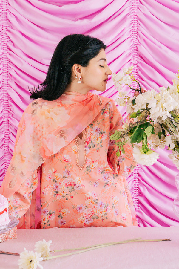 Ayzel | Renisa Lawn Collection | AMEL - House Of Anaya