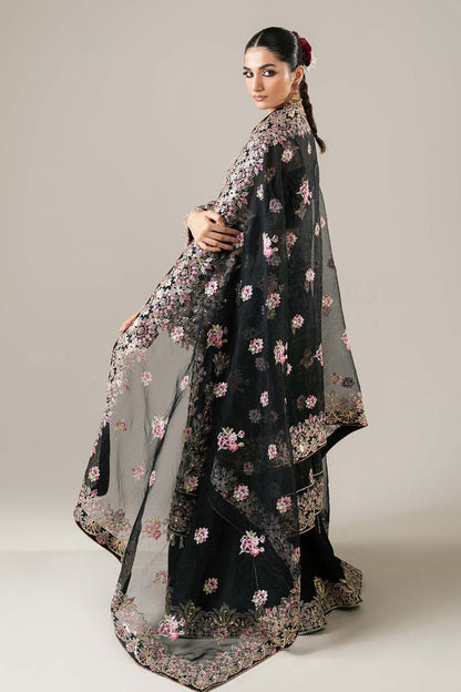 Enzo | Etoile Filante Luxury Collection | CLAIRE DE LUNE - House Of Anaya
