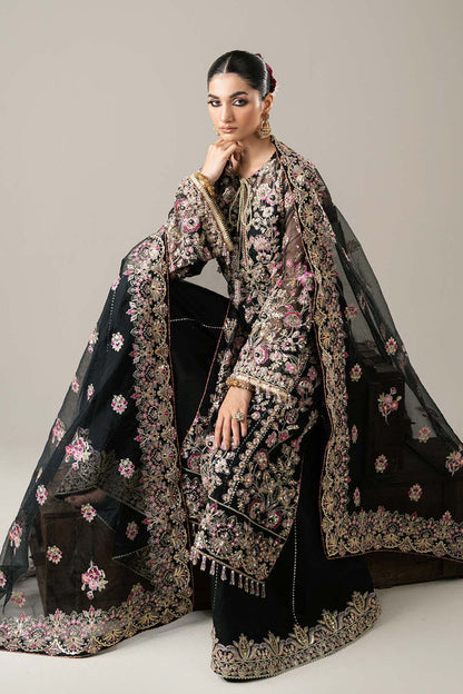 Enzo | Etoile Filante Luxury Collection | CLAIRE DE LUNE - House Of Anaya