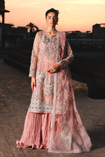 Raeesa Premium | Zauj Formals | AAK - 03