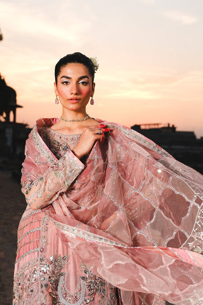 Raeesa Premium | Zauj Formals 25 | AAK - 03
