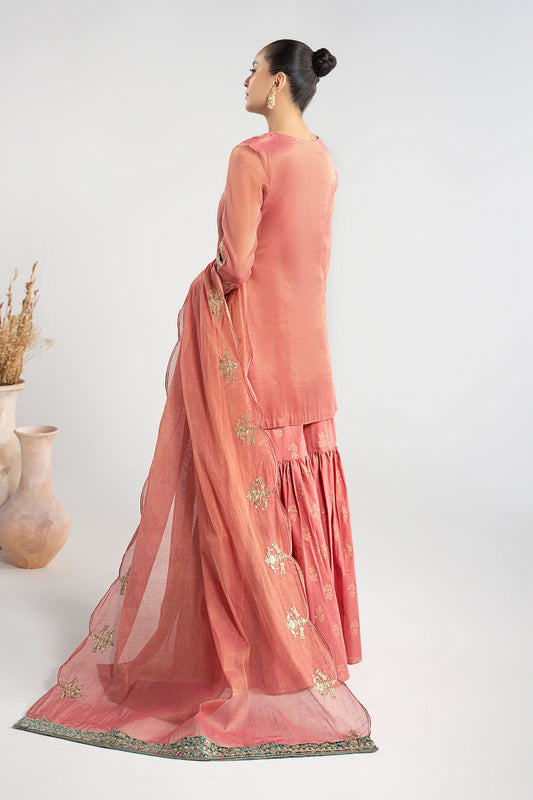 Maria B | Luxury Winter Pret 25 | DW-W25-01-Pink