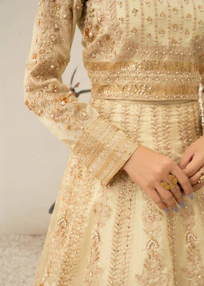 Daud Abbas | Shehnai Festive Formals 24 | Jahan - House Of Anaya