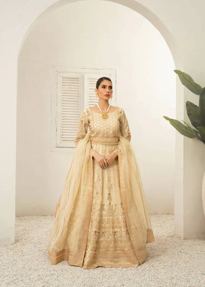 Daud Abbas | Shehnai Festive Formals 24 | Jahan - House Of Anaya