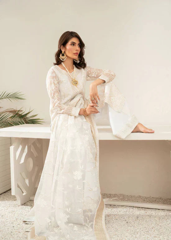 Daud Abbas | Shehnai Festive Formals 24 | Mahjabeen - House Of Anaya