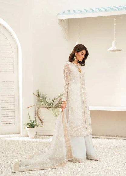 Daud Abbas | Shehnai Festive Formals 24 | Mahjabeen - House Of Anaya