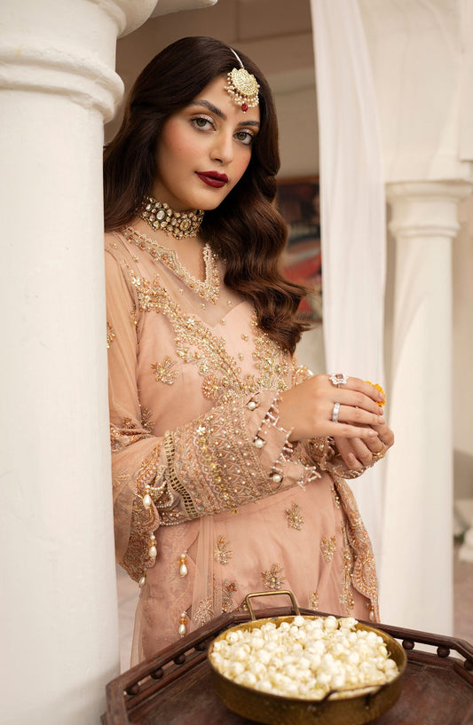 Zarin by Eleshia Embroidered Net 3Pc Suit D-02 Leena - Riwayat-e-khas