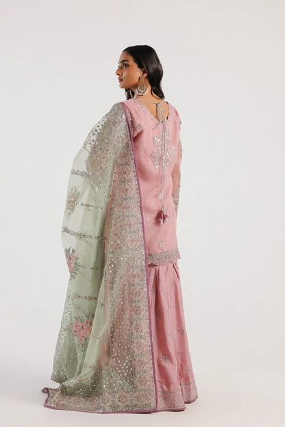 Ethnic | Luxe Formal Collection | E0023/115/401 - House Of Anaya