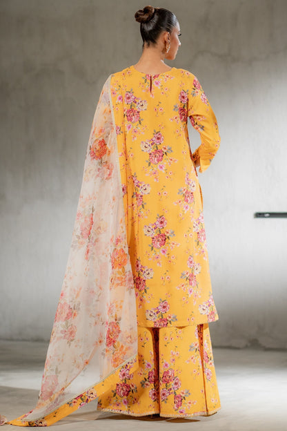 Ego | Diva Premium | GOLDY 3 PIECE - House Of Anaya