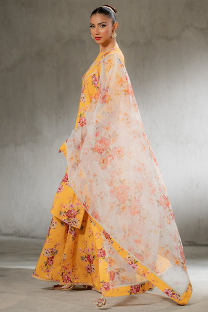 Ego | Diva Premium | GOLDY 3 PIECE - House Of Anaya