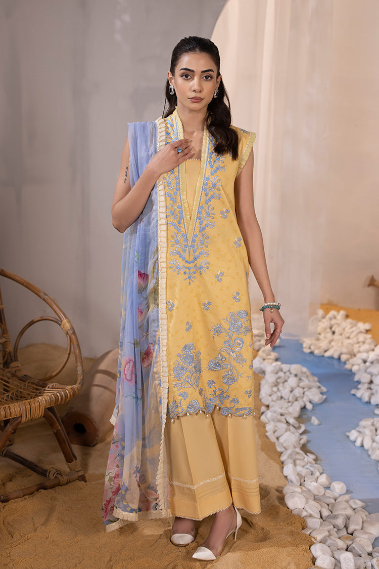 Ellena | Luxury Embroidered Collection| P-02 - House Of Anaya