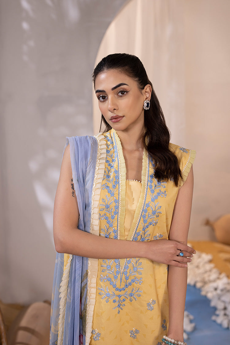 Ellena | Luxury Embroidered Collection| P-02 - House Of Anaya