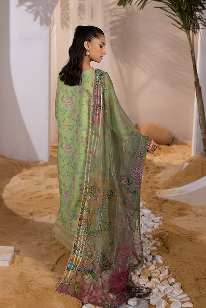 Ellena | Luxury Embroidered Collection| P-03 - House Of Anaya