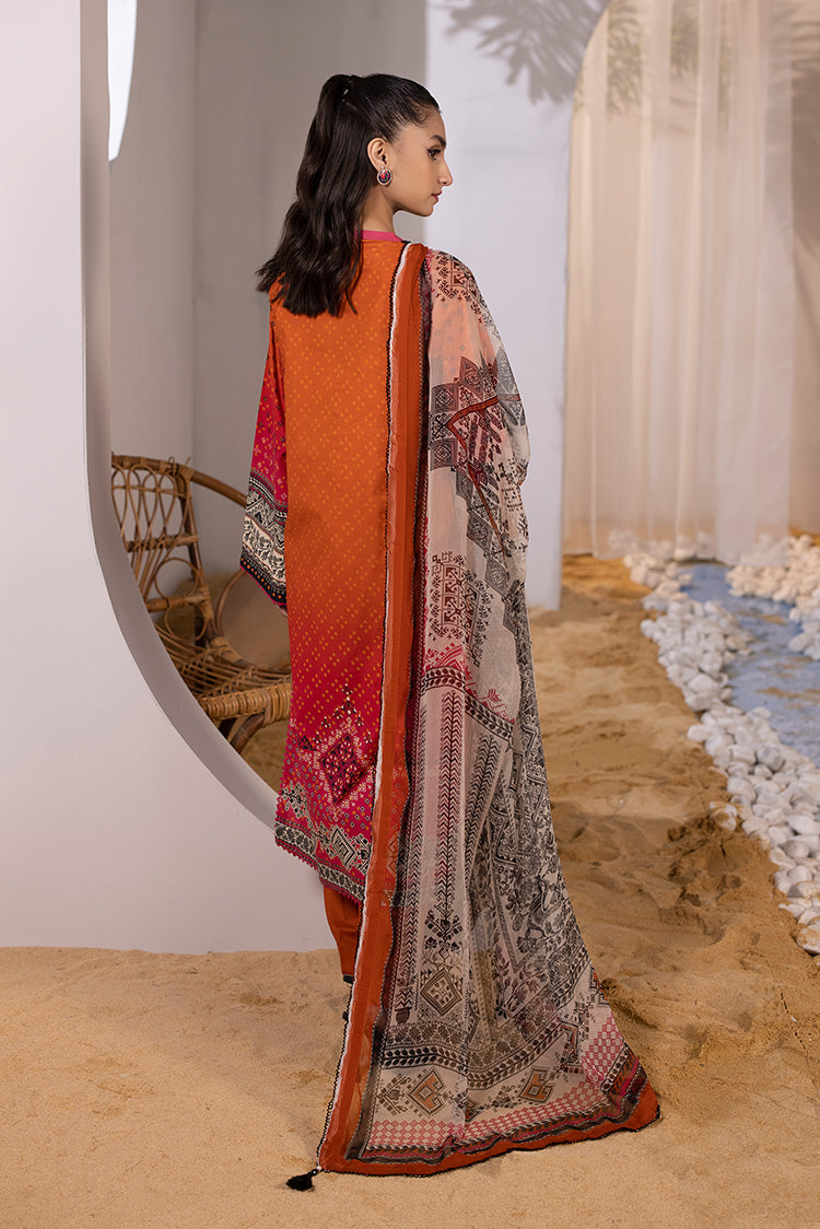 Ellena | Luxury Embroidered Collection| P-10 - House Of Anaya