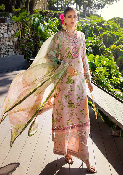 Elaf Premium | Signature Embroidered Lawn 24 | ESL-05B DELIGHT DRAPE - House Of Anaya