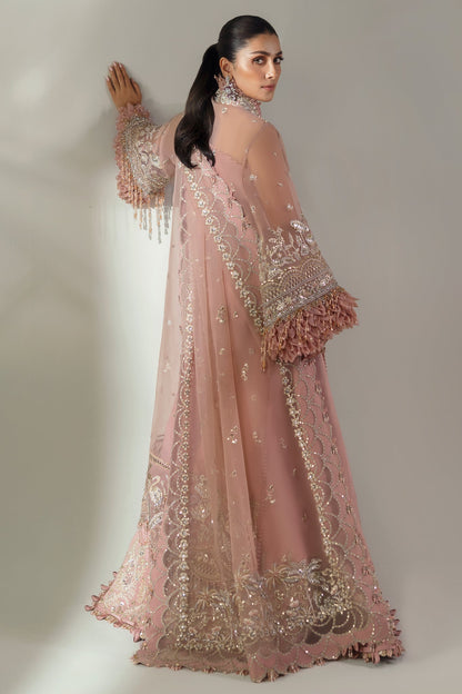 Elan | Wedding Festive 24 | CELESTIAL PETALS (EC24-07)