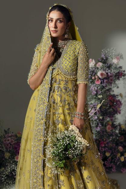 Elan | Wedding Festive 24 | BOTANICAL BLISS (EC24-02)