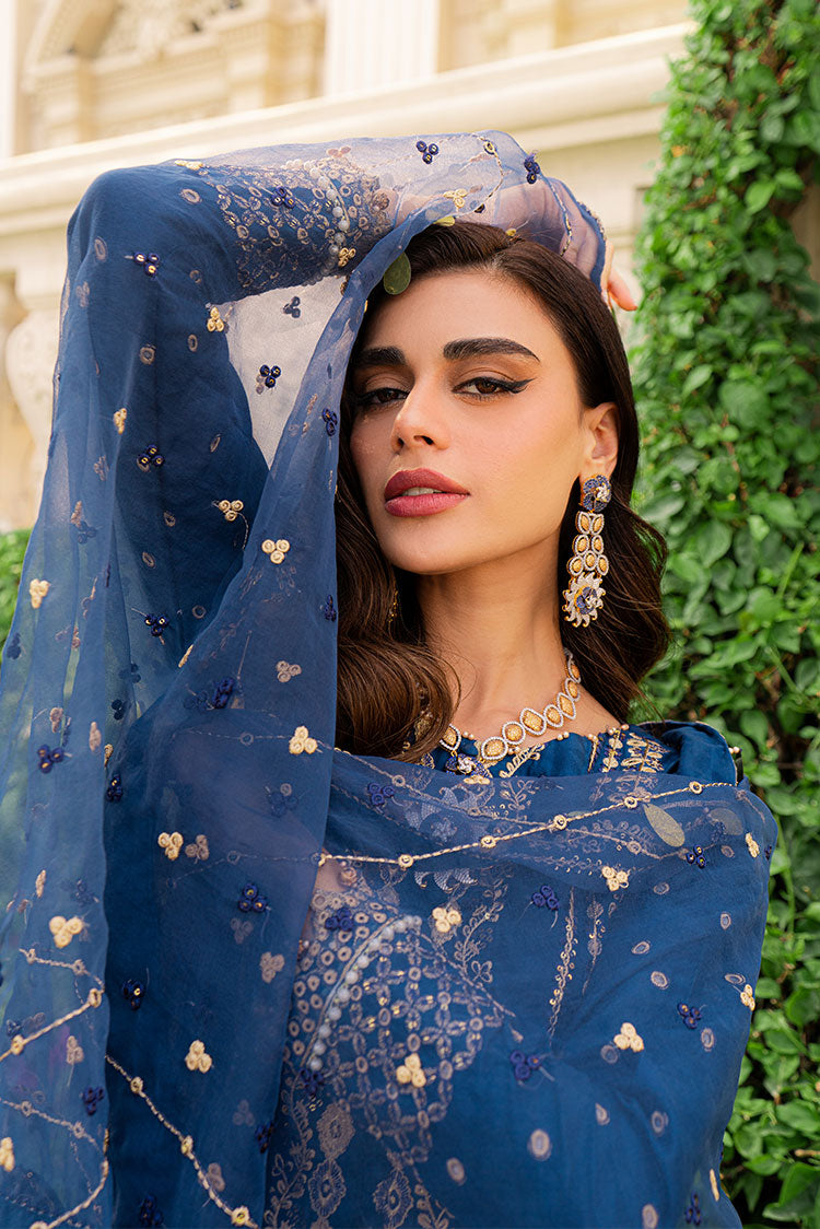 Ellena | Luxury Embroidered Collection | D26 - House Of Anaya