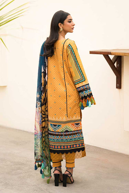 Ellena | Luxury Embroidered Collection | D14 - House Of Anaya