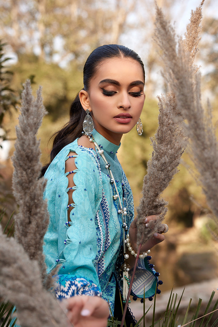 Ellena | Luxury Embroidered Collection | D24 - House Of Anaya