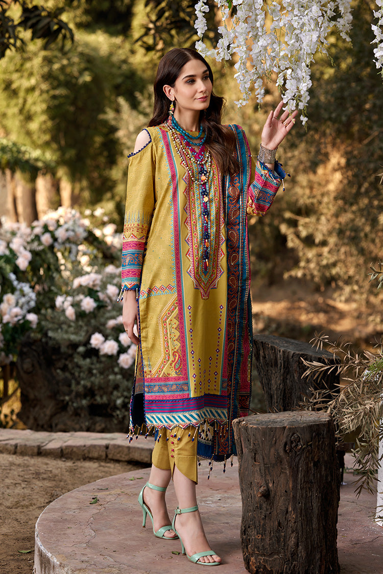 Ellena | Luxury Embroidered Collection | D05 - House Of Anaya