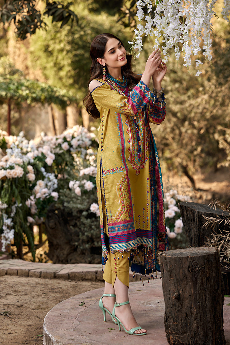 Ellena | Luxury Embroidered Collection | D05 - House Of Anaya