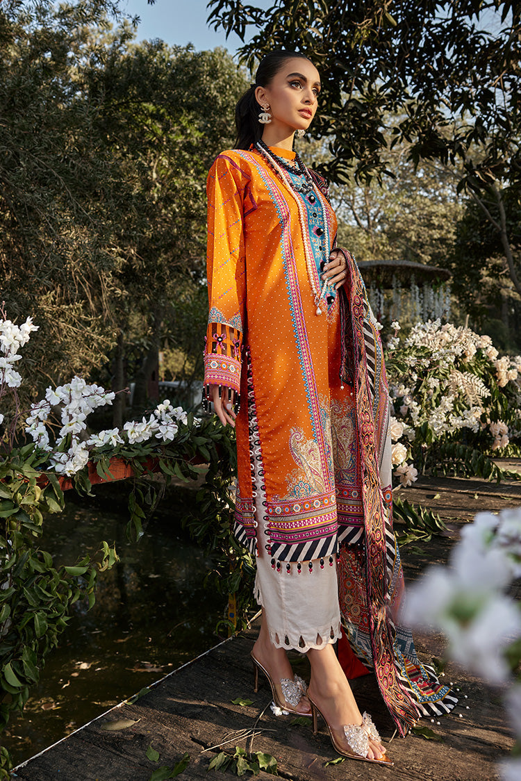 Ellena | Luxury Embroidered Collection | D13 - House Of Anaya