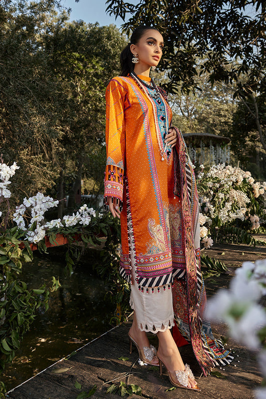 Ellena | Luxury Embroidered Collection | D13 - House Of Anaya