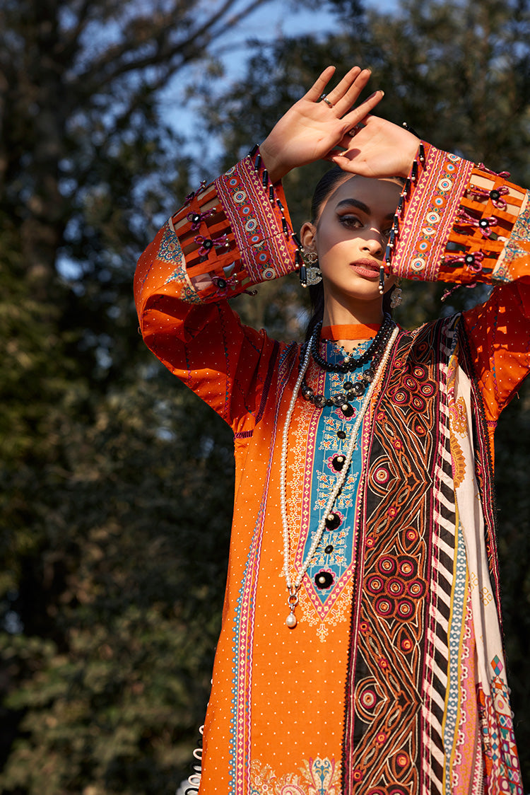 Ellena | Luxury Embroidered Collection | D13 - House Of Anaya