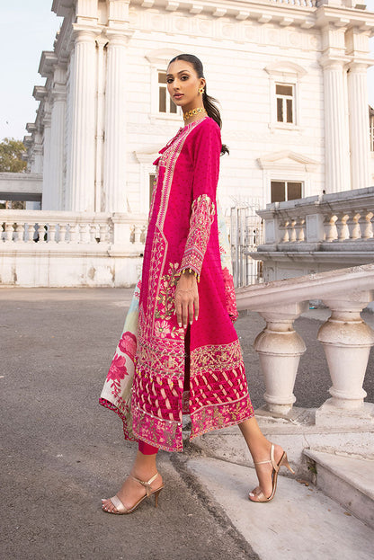 Ellena | Luxury Embroidered Collection | D12 - House Of Anaya