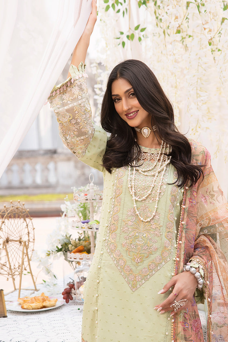Ellena | Luxury Embroidered Collection | D21 - House Of Anaya