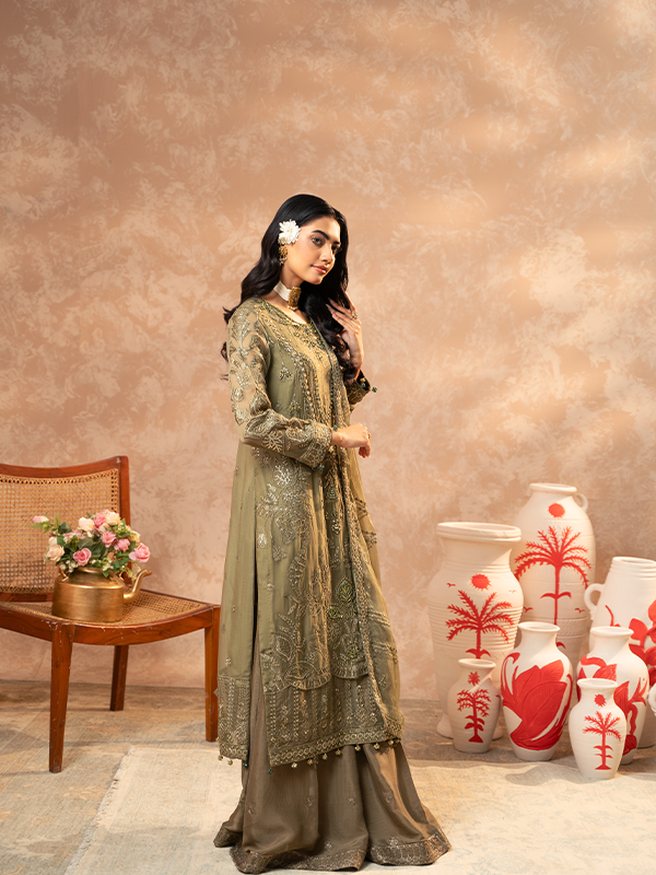 Zebtan | Zeenat Festive Collection | ZN-04 - House Of Anaya