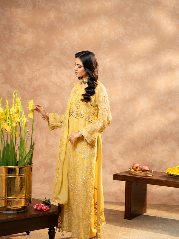 Zebtan | Zeenat Festive Collection | ZN-01 - House Of Anaya