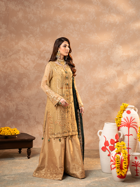 Zebtan | Zeenat Festive Collection | ZN-06 - House Of Anaya