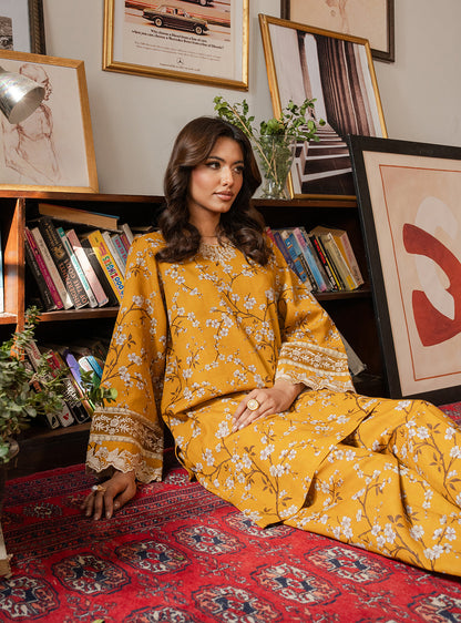 Faiza Faisal | Lumiere Pret | SOLARA