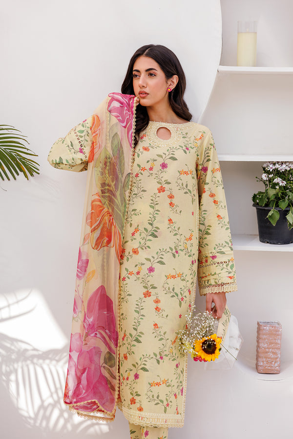 Farasha | Printed Essentials | PASTEL GLEAM - House Of Anaya