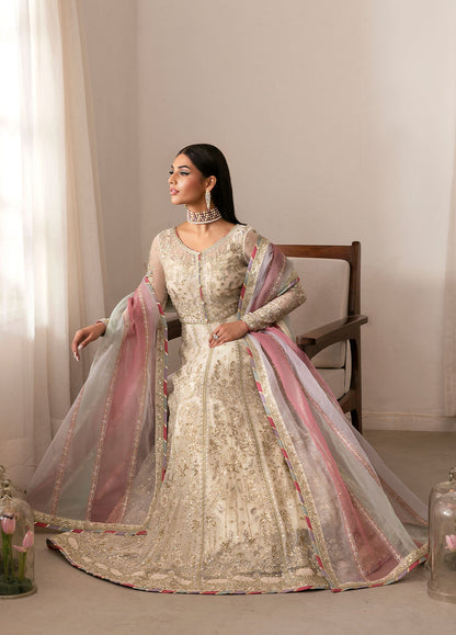 Gulaal | Reverie Embroidered Chiffon | CHIRAGH - House Of Anaya