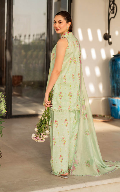 Asifa and Nabeel | Meraki Summer Vol 2 | Gul-e-Rana MK-11 - House Of Anaya