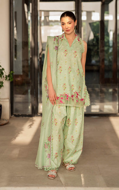 Asifa and Nabeel | Meraki Summer Vol 2 | Gul-e-Rana MK-11 - House Of Anaya