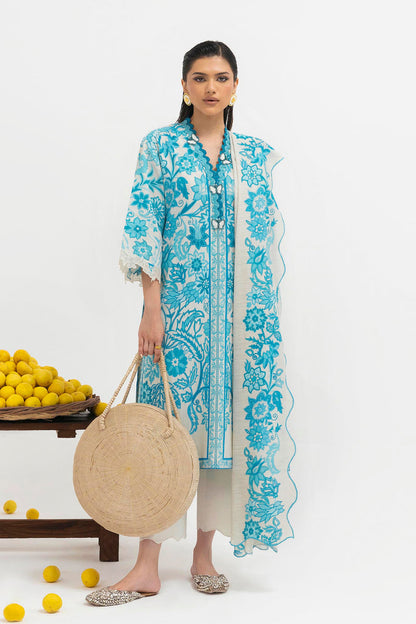 Sana Safinaz | Mahay Winter 25 | H255-002B-2BQ