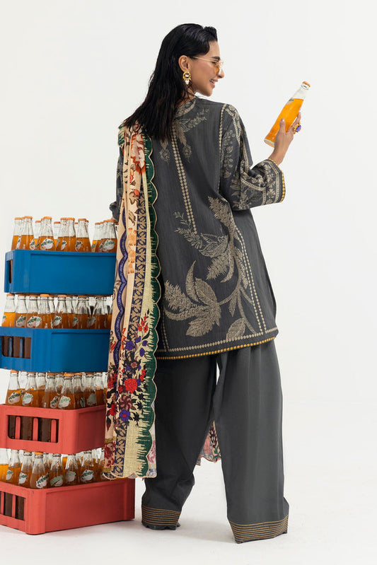 Sana Safinaz | Mahay Winter 25 | H255-005A-3CQ