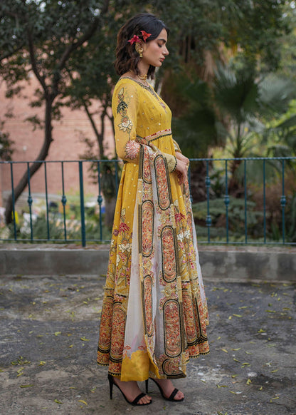 Ali Xeeshan | Chanda Luxury Pret | Amber