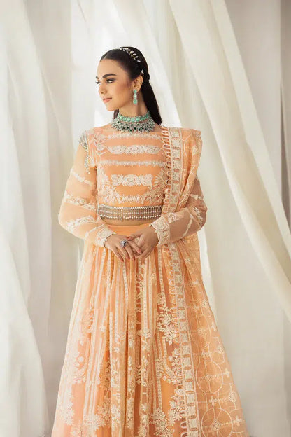 House of Nawab | Gul Mira Luxury Collection 23 | Meshki - House Of Anaya