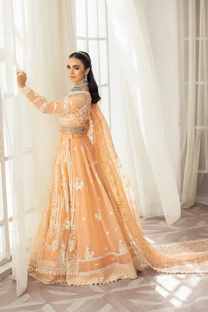 House of Nawab | Gul Mira Luxury Collection 23 | Meshki - House Of Anaya