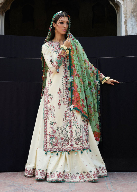 Hussain Rehar | Nirmal SS 25 | Sahil