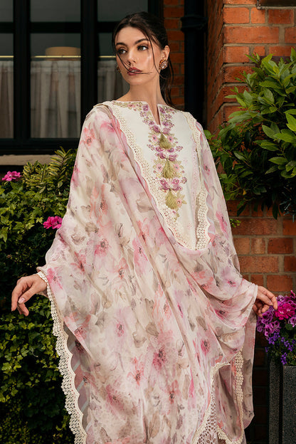Mushq | Hemline Odyssey | MOCHA MUSE