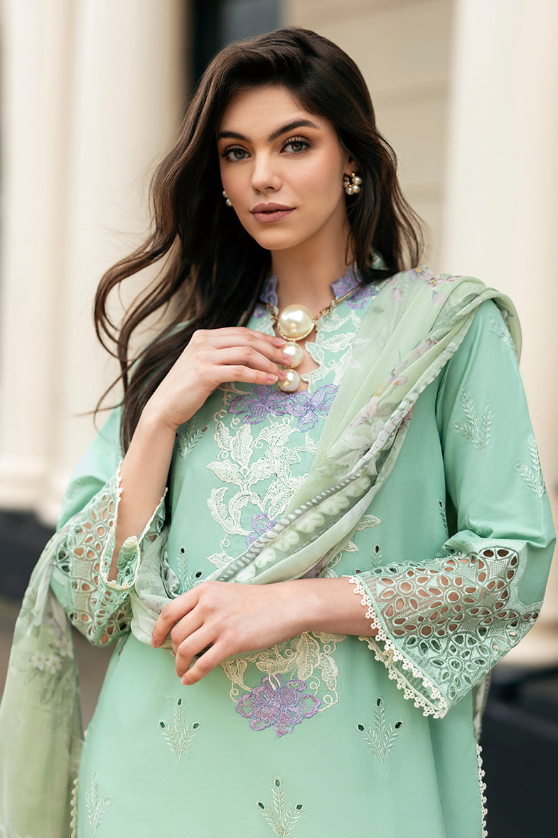 Mushq | Hemline Odyssey | BRISTOL BEAUTY