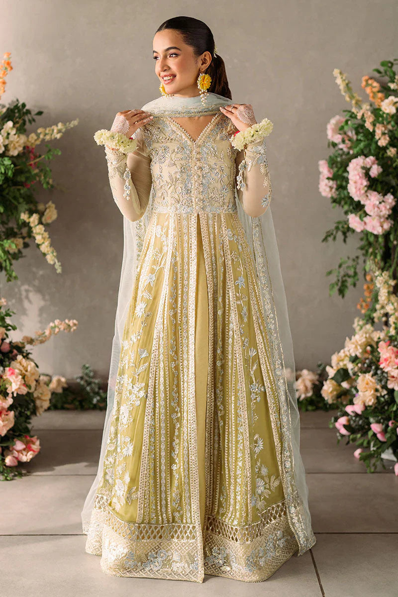 Mushq Mastani Evening Embroidered Chiffon 3Pc Suit MCH-06 HIRA